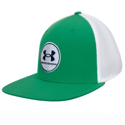 Under Armour M Iso-chill Drive Low STR Cap