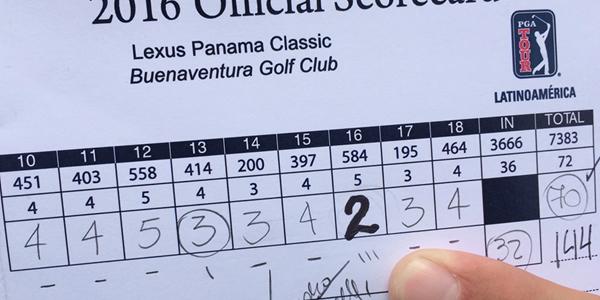 The Albatross - the rarest of all golfing birds