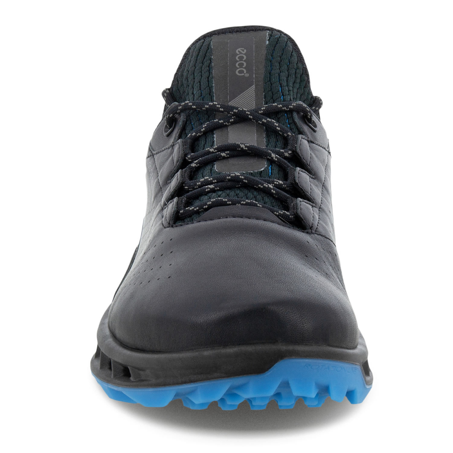 ECCO Biom C4 Golf Shoes Black | Scottsdale Golf